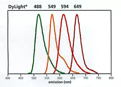 Dylightspectra Jpg Dylightspectra