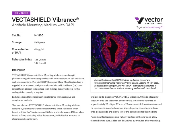 Vibrance Protocol Cover jpg