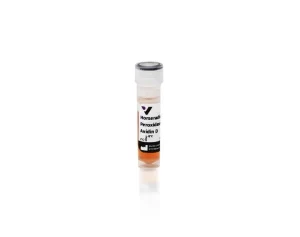 Horseradish Peroxidase Avidin D (Av-HRP)