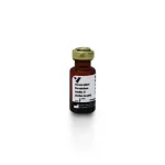 Horseradish Peroxidase Avidin D (Av-HRP), Concentrate, for ELISAs and Blots