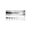 Western blot visualized by using the VECTASTAIN® ABC-AmP™ kits. Serial dilutions (1:2) of maltose binding protein (MBP) were resolved by electrophoresis on a 12% PAGE reducing gel, transferred onto nitrocellulose membrane and detected with biotinylated an