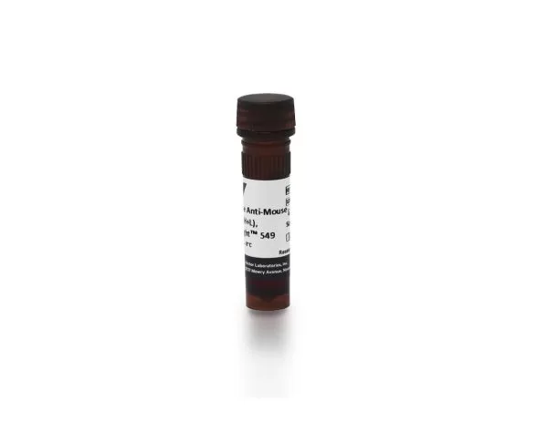 Horse Anti-Mouse IgG Antibody (H+L), DyLight™ 549
