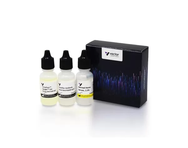 VectaFluor™ Excel Amplified Anti-Rabbit IgG, DyLight™ 59