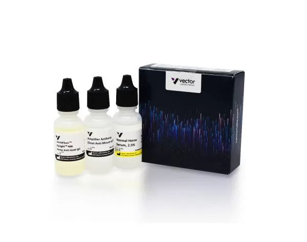 VectaFluor™ Excel Amplified Anti-Mouse IgG, DyLight™ 488 Antibody Kit