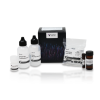 Glysite™ Scout Glycan Screening Kit, Immunofluorescence 649