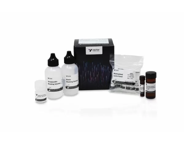 Glysite™ Scout Glycan Screening Kit, Immunofluorescence 488