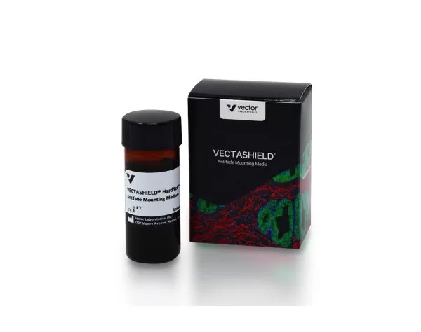 VECTASHIELD® HardSet™ Antifade Mounting Medium