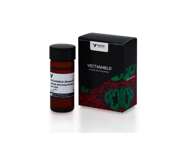 VECTASHIELD Vibrance® Antifade Mounting Medium with DAPI (10 ml)