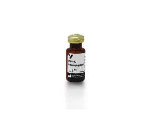 Phaseolus Vulgaris Erythroagglutinin (PHA-E), Unconjugated