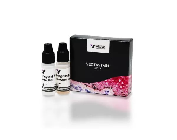 VECTASTAIN® ABC-HRP Kit, Peroxidase (Standard)