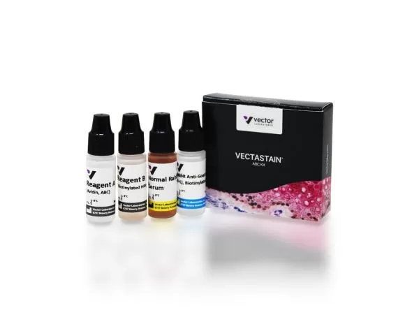 VECTASTAIN® ABC-HRP Kit, Peroxidase (Goat IgG)