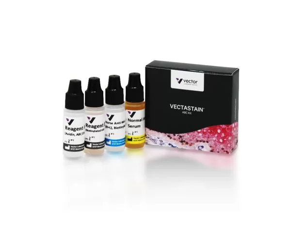VECTASTAIN® Elite® ABC-HRP Kit, Peroxidase (Mouse IgG)