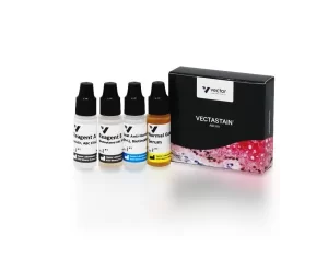 VECTASTAIN® Elite® ABC-HRP Kit, Peroxidase (Human IgG)