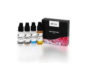 VECTASTAIN® Elite® ABC-HRP Kit, Peroxidase (Rat IgG)