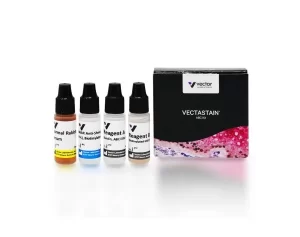 VECTASTAIN® Elite® ABC-HRP Kit, Peroxidase (Sheep IgG)