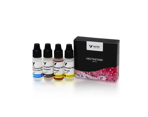 VECTASTAIN® Universal Quick HRP Kit, Peroxidase (Concentrate)