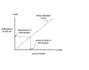 A std curve is produced using kit provided material standards. Testing sample is mixed with kit reagents and an absorbance value is taken at 535nm. This value is then compared to the standard curve to determine nmols of biotin present in the sample. A std curve is produced using kit provided material standards. Testing sample is mixed with kit reagents and an absorbance value is taken at 535nm. This value is then compared to the standard curve to determine nmols of biotin present in the sample.