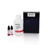 ImmPACT® Vector® Red Substrate Kit, Alkaline Phosphatase (AP)