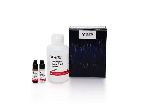 ImmPACT® Vector® Red Substrate Kit, Alkaline Phosphatase (AP)