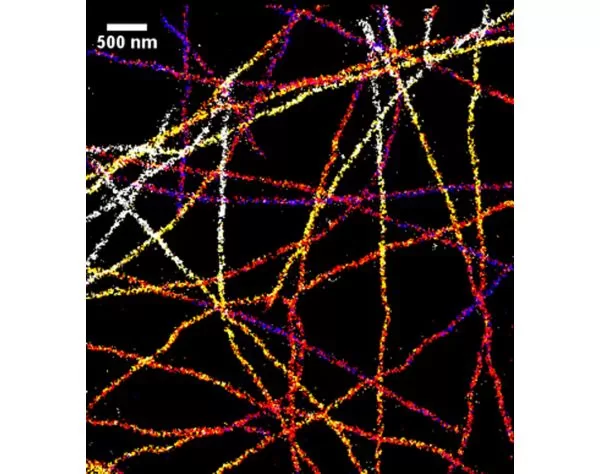 3D STORM imaging of Alexa Fluor 647 stained microtubules in a VECTASHIELD Mounting Medium/TRIS-Glycerol mixture. (Image kindly supplied by Dr. Nicolas Olivier, King's College, London UK.)