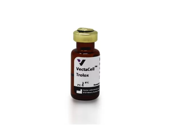 VectaCell™ Trolox Antifade Reagent for Live Cell Imaging