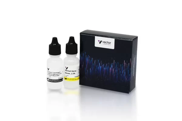 VectaFluor™ Duet Immunofluorescence Double Labeling Kit, DyLight™ 488 Anti-Rabbit (green), DyLight™ 594 Anti-Mouse (red)