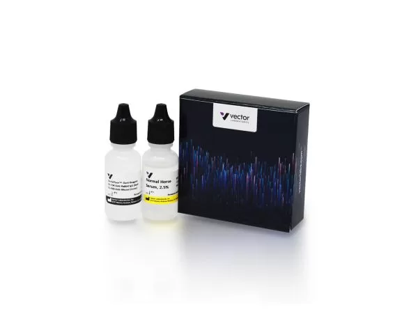 VectaFluor™ Duet Immunofluorescence Double Labeling Kit, DyLight™ 594 Anti-Rabbit (red), DyLight™ 488 Anti-Mouse (green)