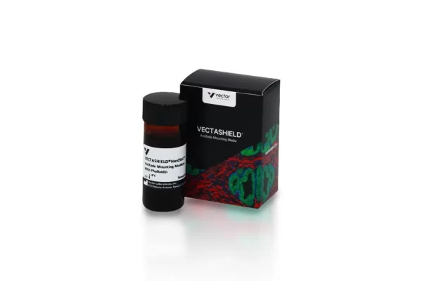 Vectashield® Hardset™ Antifade Mounting Medium with Phalloidin Vectashield® Hardset™ Antifade Mounting Medium with Phalloidin