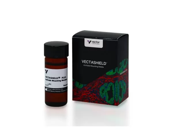 VECTASHIELD® PLUS Antifade Mounting Medium (2 ml)