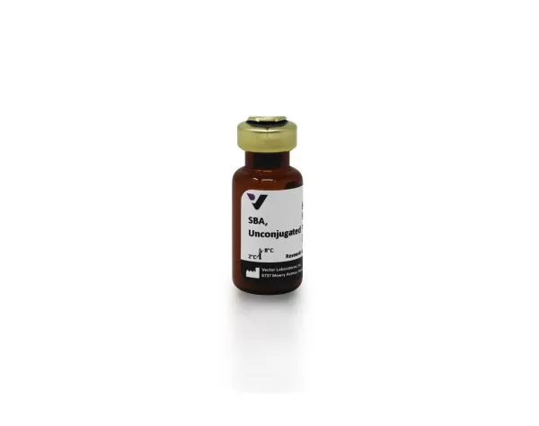 Soybean Agglutinin (SBA), Unconjugated (10 mg)