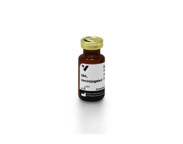 Soybean Agglutinin (SBA), Unconjugated (25 mg)