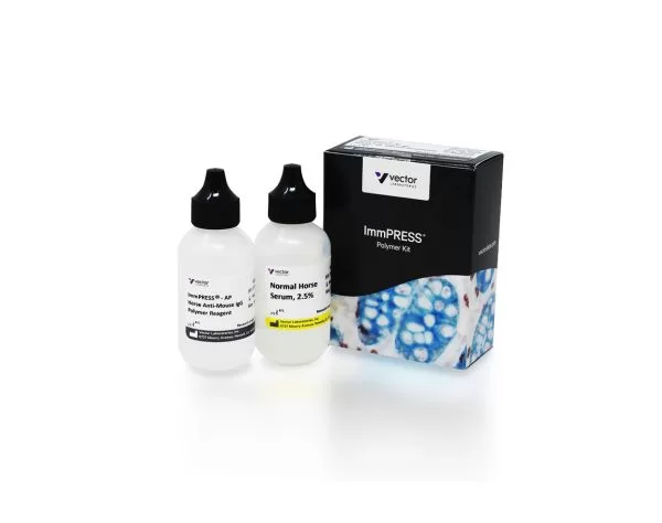 ImmPRESS®-AP Horse Anti-Mouse IgG Polymer Detection Kit, Alkaline Phosphatase, 50 ml
