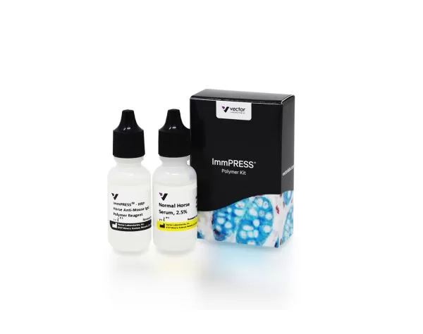 ImmPRESS® HRP Horse Anti-Mouse IgG Polymer Detection Kit, Peroxidase (15 ml)