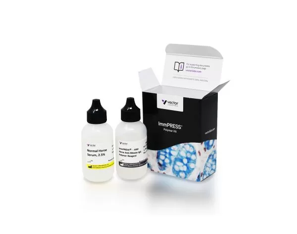 ImmPRESS® HRP Horse Anti-Mouse IgG Polymer Detection Kit, Peroxidase (50 ml)