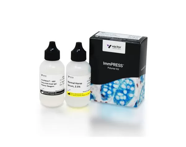 ImmPRESS® HRP Horse Anti-Goat IgG Polymer Detection Kit (50 ml)