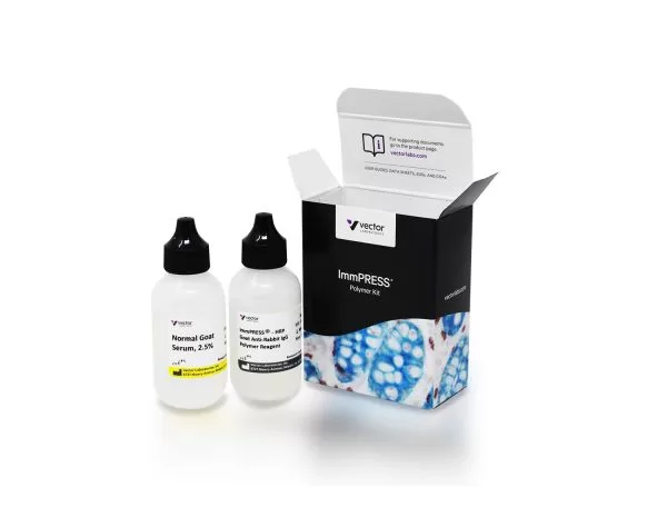 ImmPRESS® HRP Goat Anti-Rabbit IgG Polymer Detection Kit, Peroxidase (50 ml)