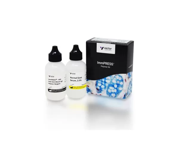 Goat Anti-Mouse IgG Polymer Detection Kit, Peroxidase (50 ml)