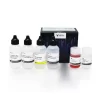 ImmPRESS® Excel Amplified Polymer Staining Kit, Anti-Rabbit IgG, Peroxidase (50 ml)