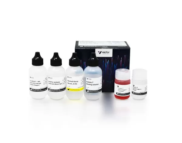 ImmPRESS® Excel Amplified Polymer Staining Kit, Anti-Mouse IgG, Peroxidase (50 ml)