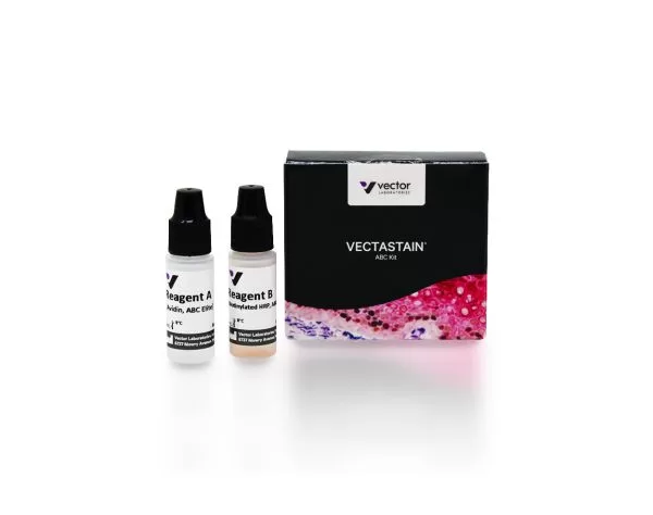 VECTASTAIN® Elite® ABC-HRP Kit, Peroxidase (Standard)