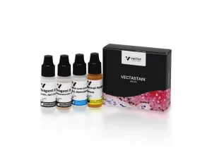 Vectastain® Elite® Abc hrp Kit Peroxidase goat Igg Vectastain® Elite® Abc hrp Kit Peroxidase goat Igg