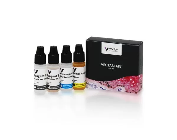 VECTASTAIN® Elite® ABC-HRP Kit, Peroxidase (Goat IgG)