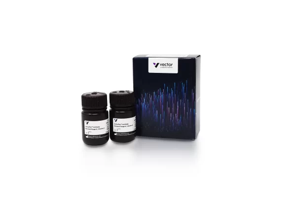 VectaPlex™ Antibody Removal Kit