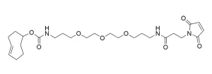 CCT 1002 Structure e1695451464563