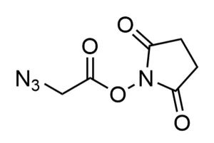 Cct Structure E Cct Structure E