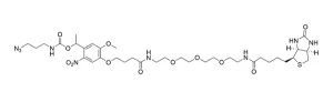 CCT 1119 Structure