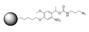 CCT 1141 Structure