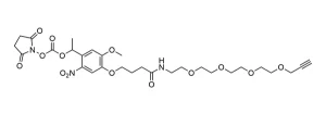 Cct Structure E Cct Structure E