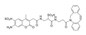 CCT 1270 Structure