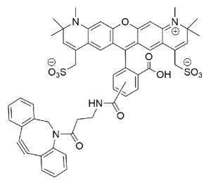 CCT 1298 Structure